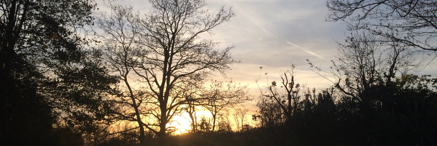 pj5911's profile banner image