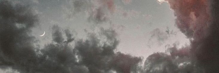 LEO VERITAS banner