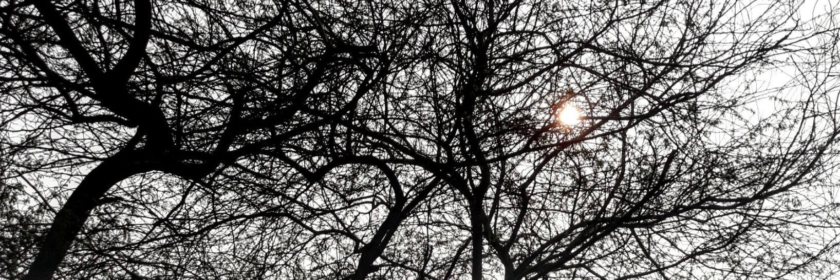 Ruksyy's profile banner image