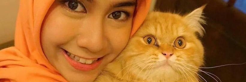 azuhrashilover's profile banner image