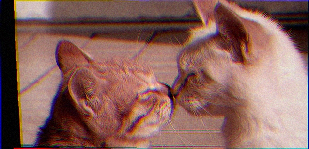 harbrop21423's profile banner image