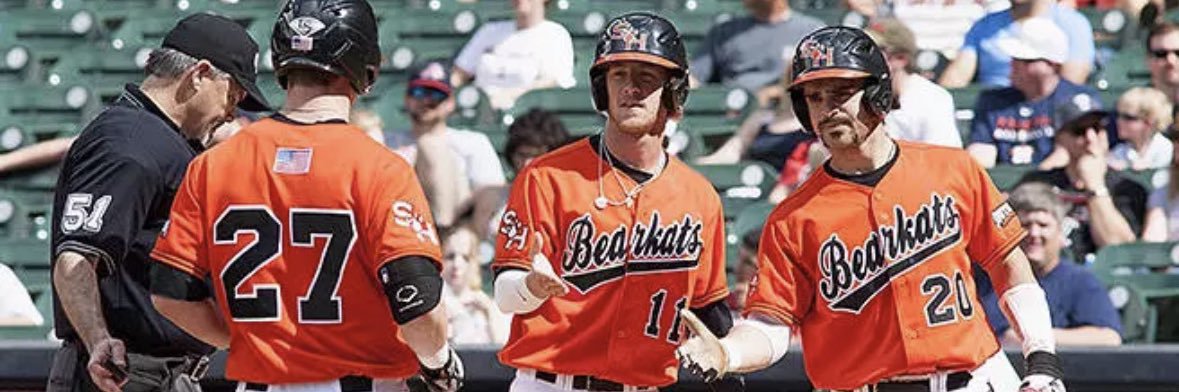 BearkatBaseballEnjoyer banner