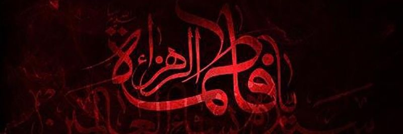 Nida Lashari banner