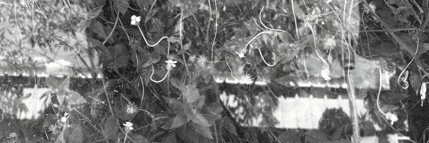 แพ(ร)คับ banner