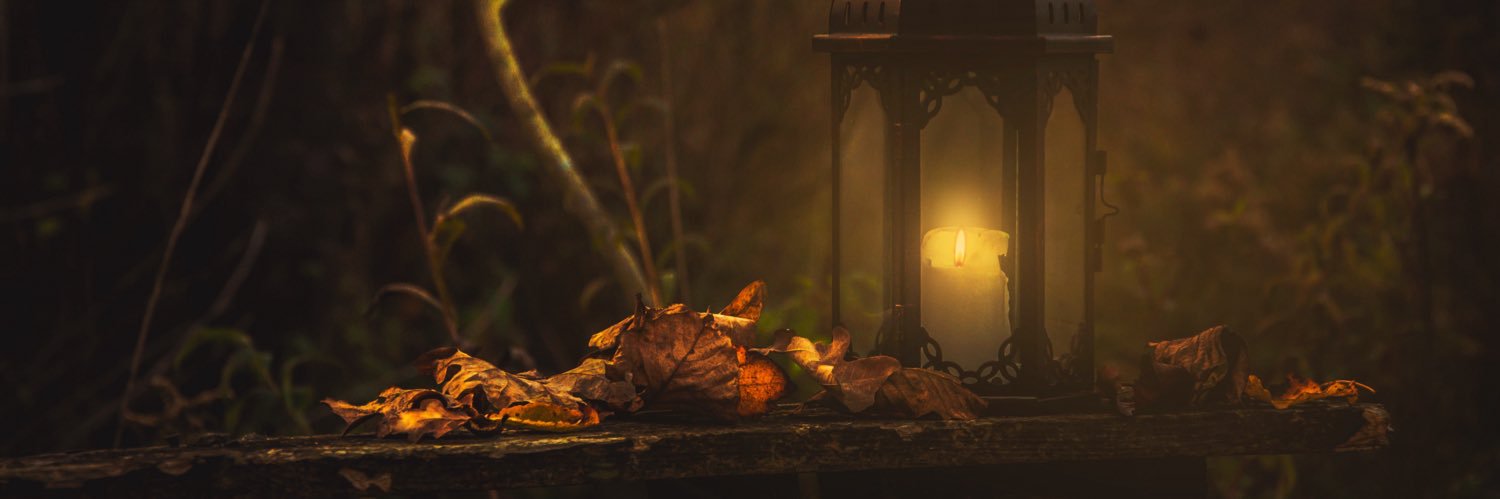 odymleaf's profile banner image