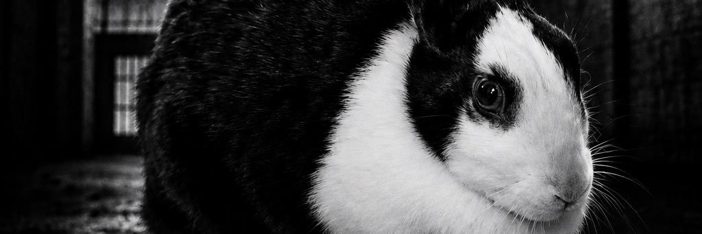michseydel's profile banner image