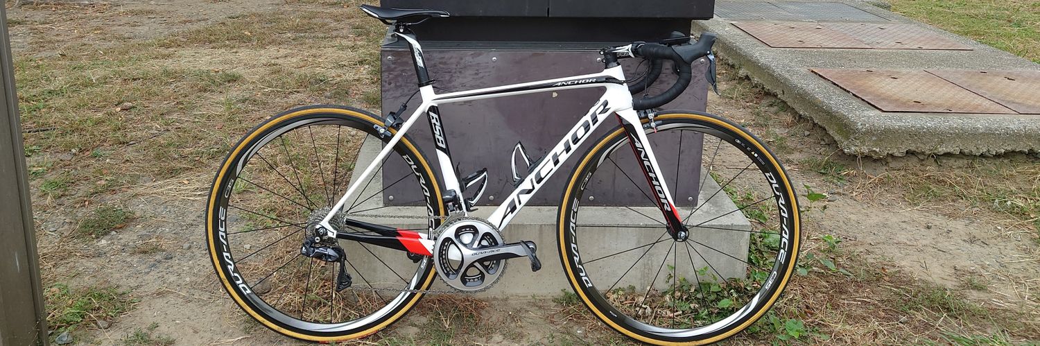 ︎ ︎ ︎ ︎ banner