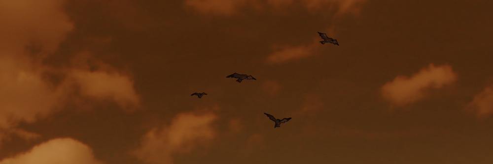 Elliana May - @Mause@cloudisland.nz banner