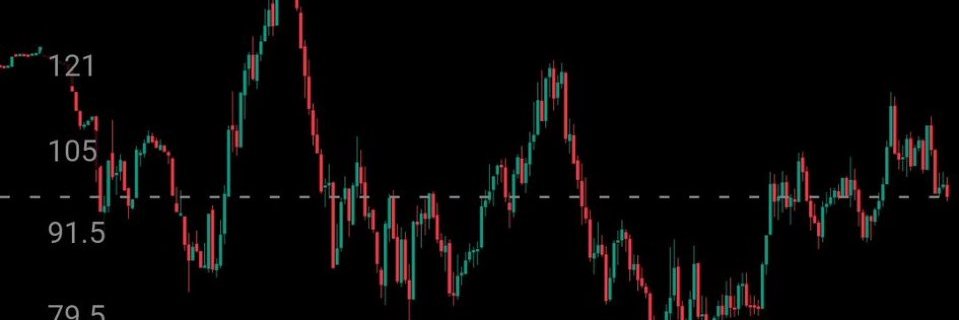 A Hedgehog Against Inflation banner