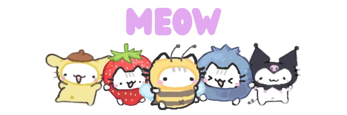 Meow banner