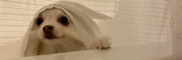 JayceeRacer Profile Banner