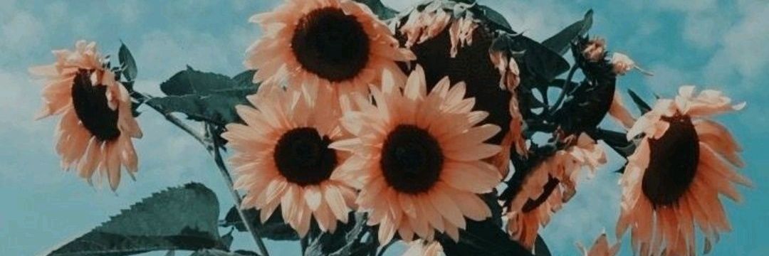 Paulatrd_'s profile banner image