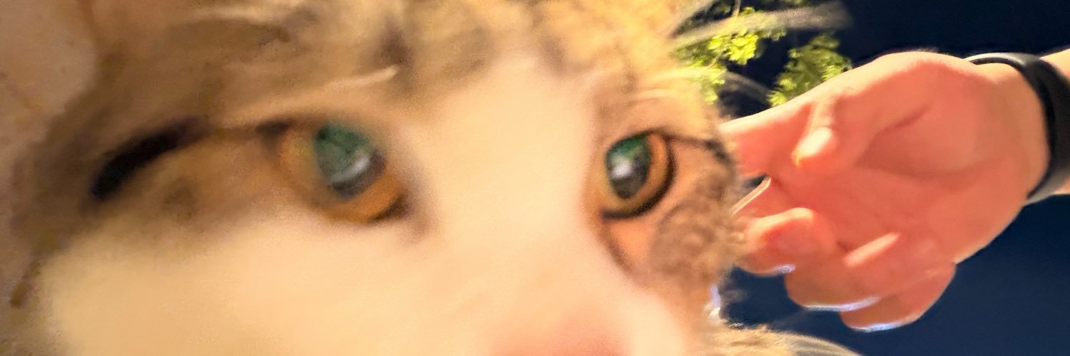 xuan17715's profile banner image