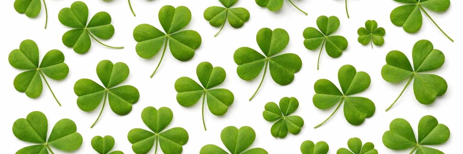 Clover🍀🦋 banner