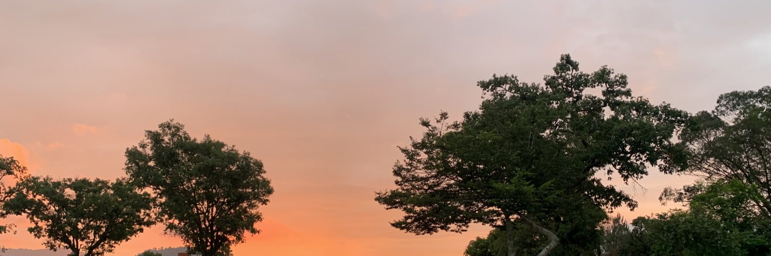 MarvinFiusa's profile banner image