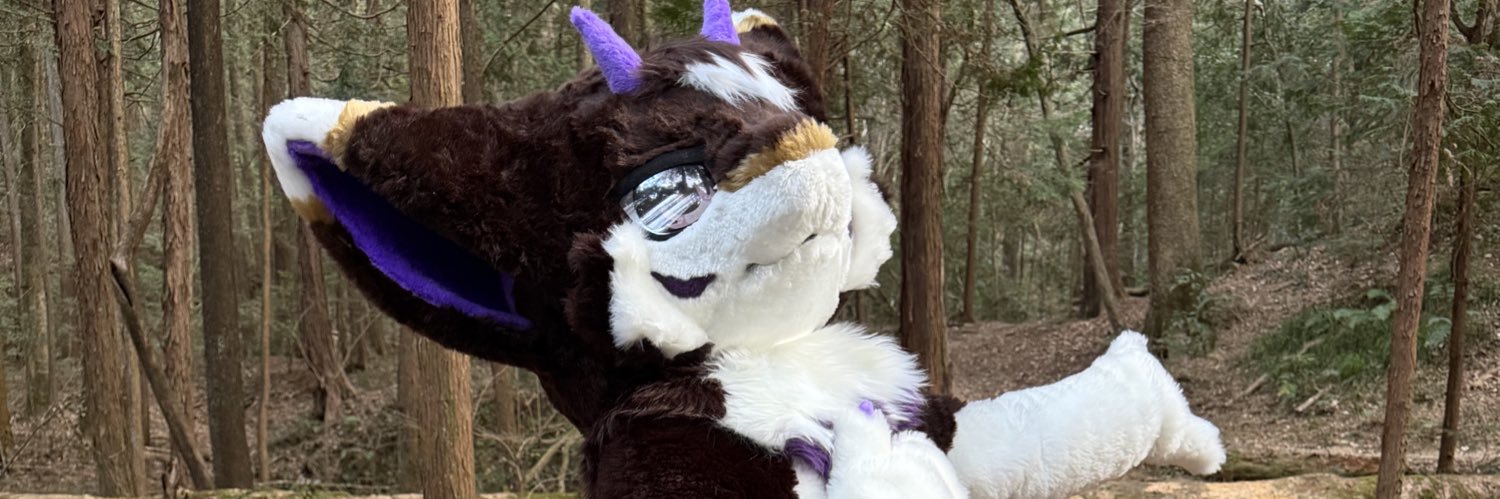 Chamokigu's profile banner image