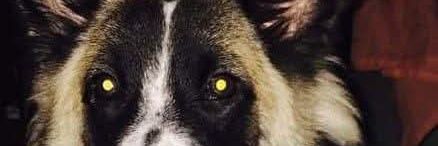 三零 くく_07 banner