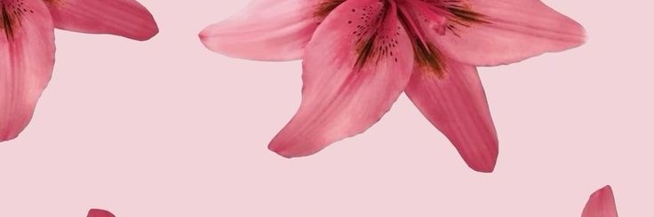 𝐈𝐧𝐝𝐢𝐚𝐧𝐩𝐢𝐧𝐬 banner