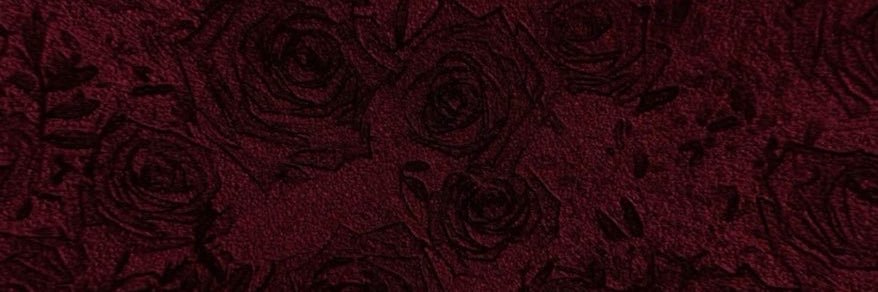 TOLTU69a's profile banner image