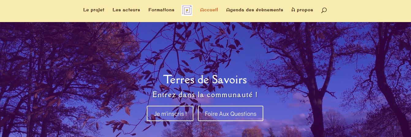 benoitos's profile banner image
