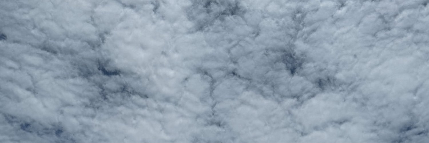Usagimigi's profile banner image