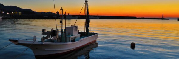 tom4126 Profile Banner