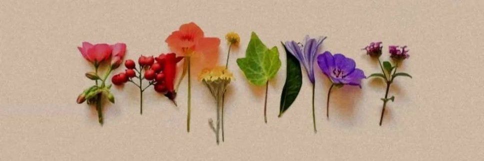 Mamnoon.official banner