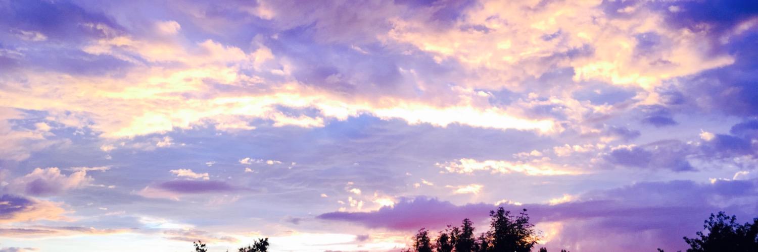 rachyrooooster's profile banner image