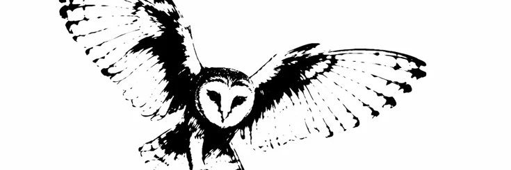 l1iive's profile banner image