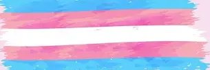 Princess Nessa banner