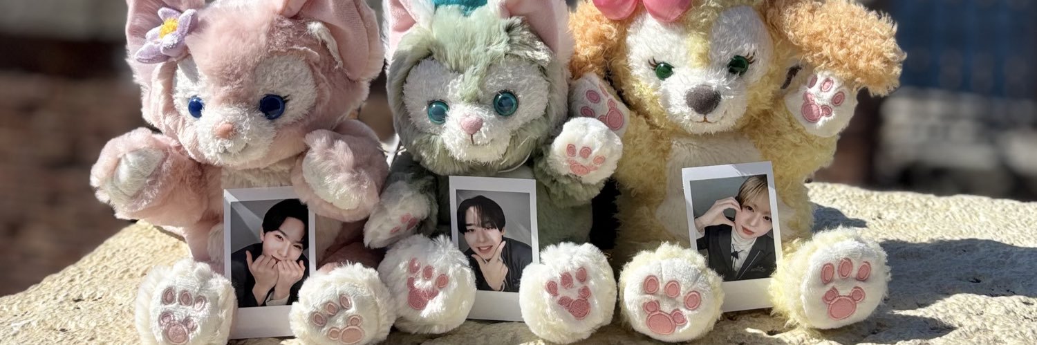 あ🐈💘 banner