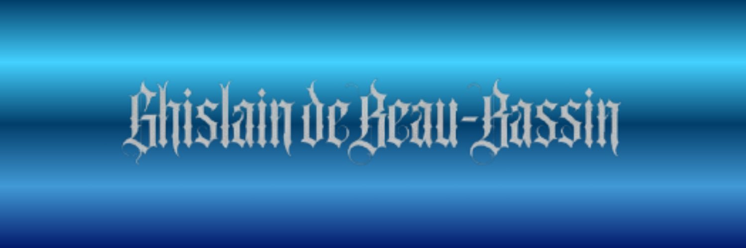 Ghislain de Beau-Bassin banner