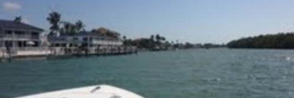 adoptaboo Profile Banner