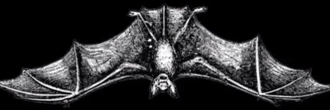 exioi0's profile banner image