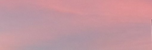 ねるね banner