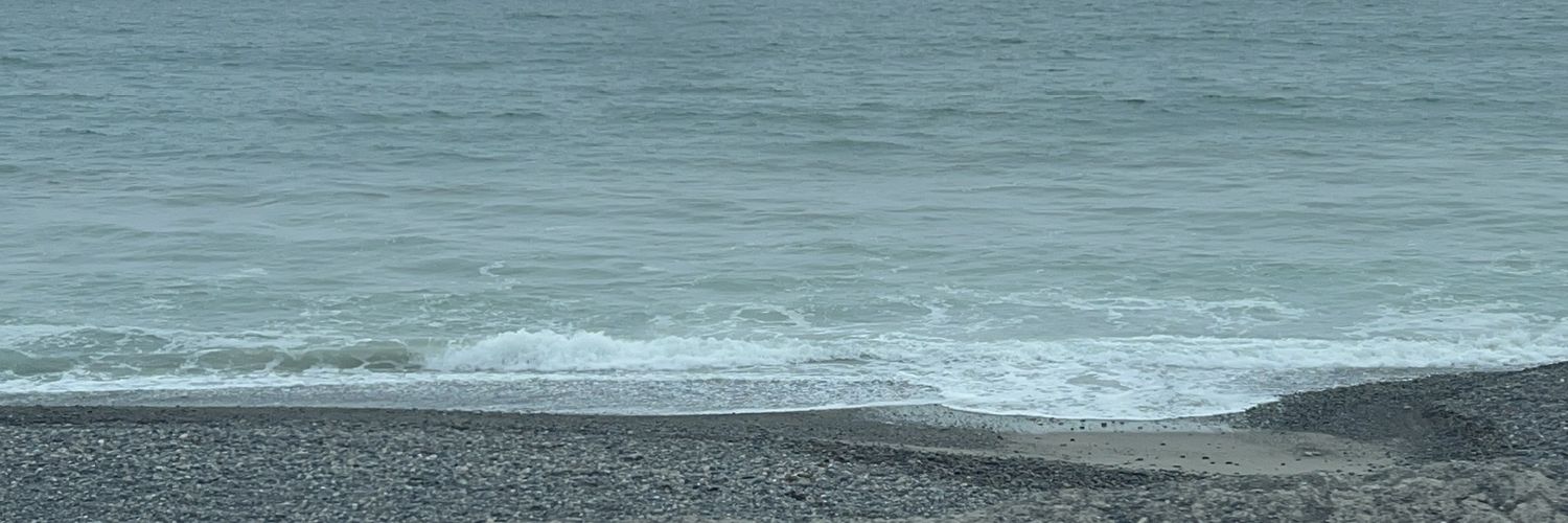 DaddyBiBuyBye's profile banner image