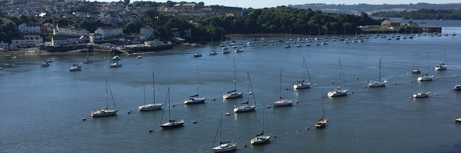 Anna Chick 💙 banner