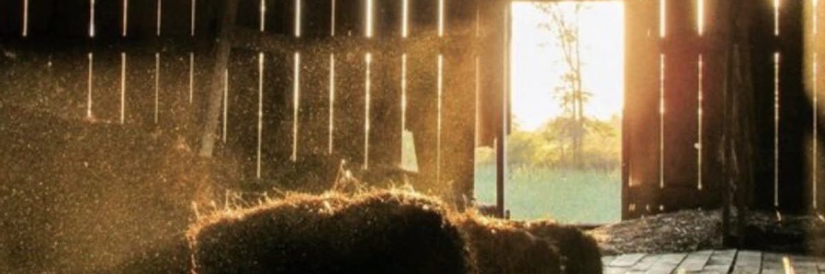 Jayce Talis 🐄 banner