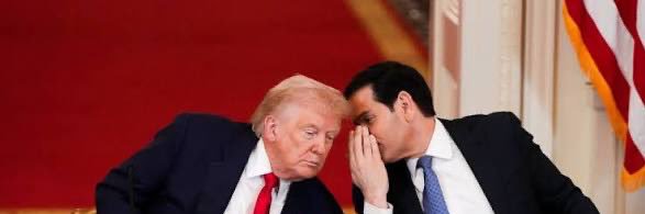 King Trump 🦅 banner