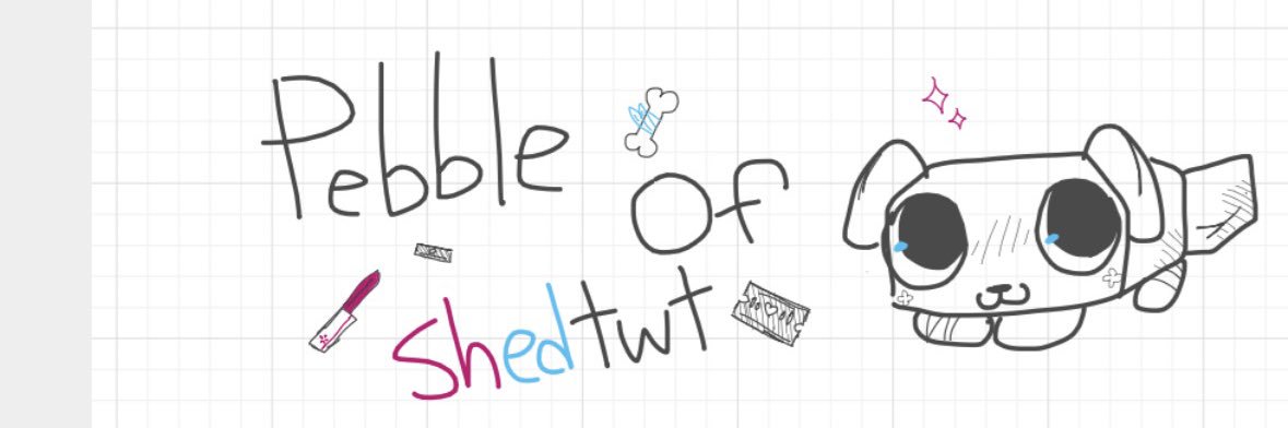 🪨|| Pebble of #ѕнє∂тωт || banner