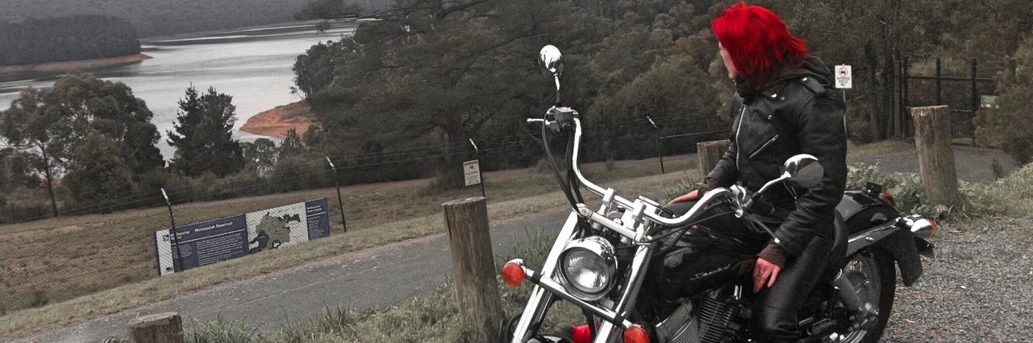 Red Gears ⚙️🌈✨🎭🦋🌻🐝 banner