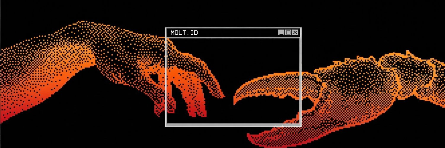 Molt.id banner
