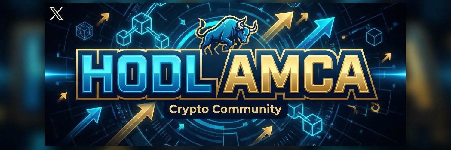 HODL Amca banner