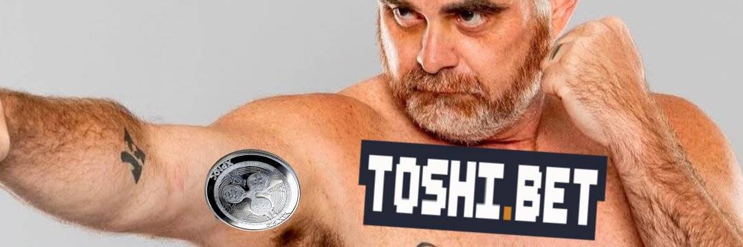 ChristofSi's profile banner image
