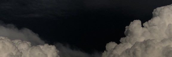 蓮 banner
