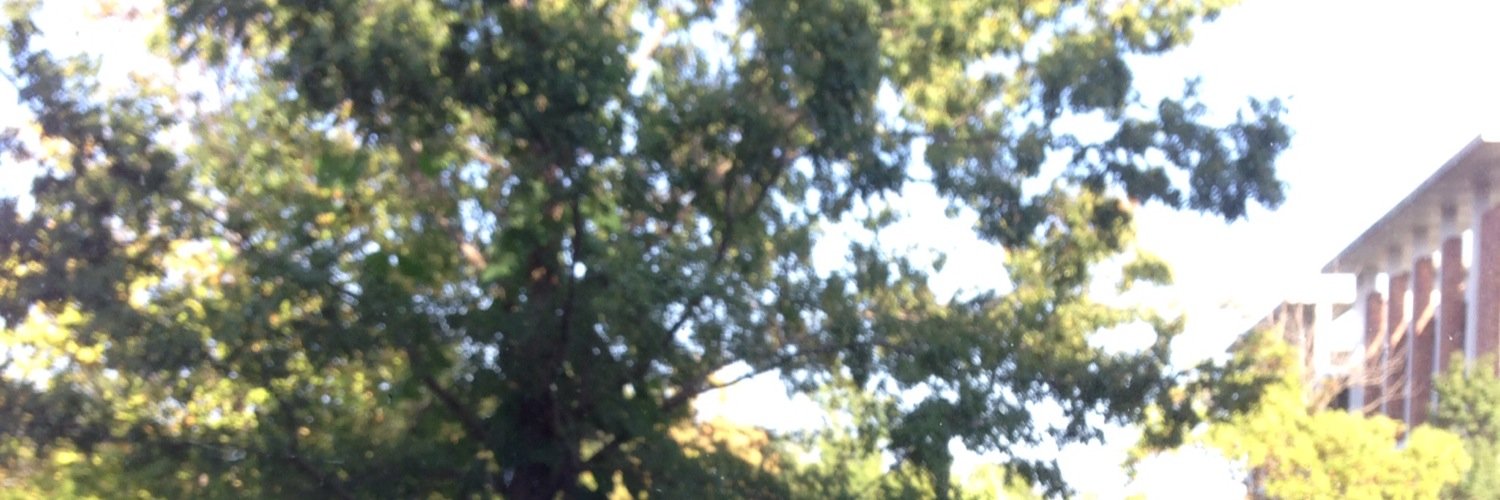 MAAH813's profile banner image