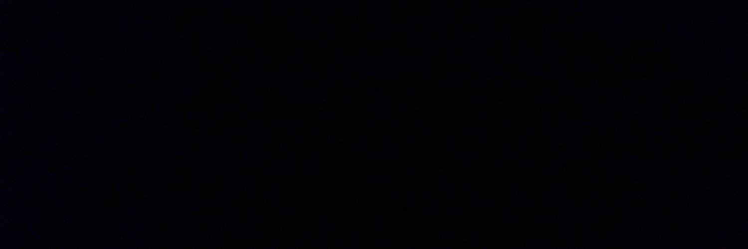 burrosensato's profile banner image