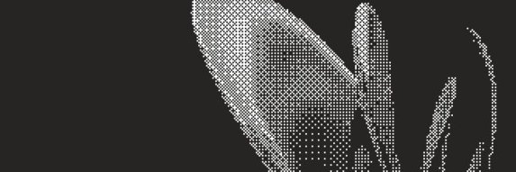 Hex Security (YC W26) banner