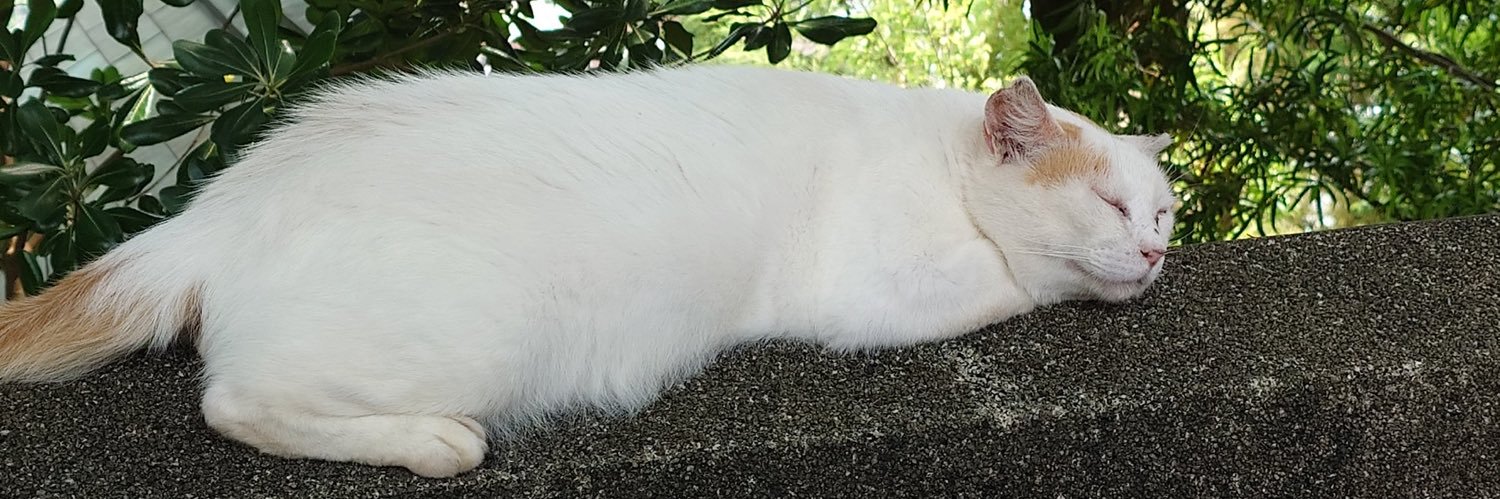 もり みつこ banner