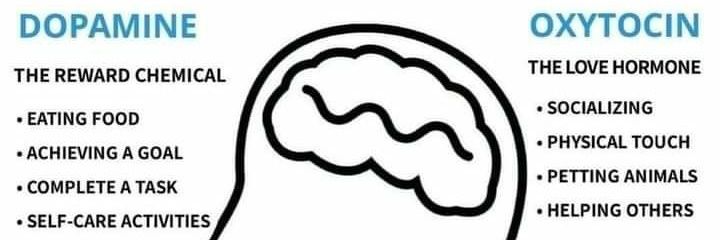 Gordonsouthnorth banner